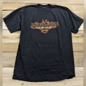 Harley Davidson 2010 Flame Fire Cape reno Nevada